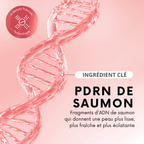 Baume Repulpant Cellulaire